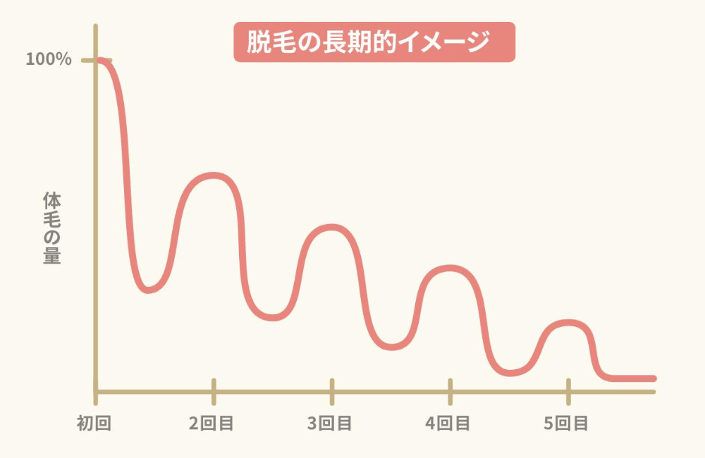 毛周期
