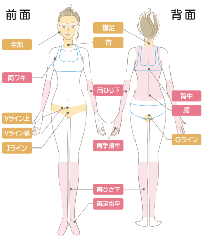 ルシア式全身脱毛コース(ライト全身脱毛)